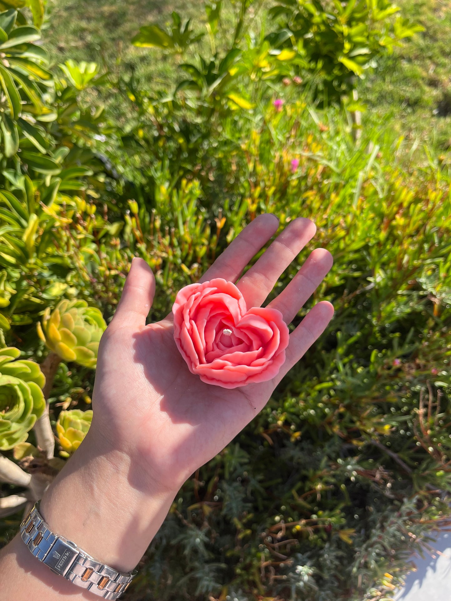 Blossom