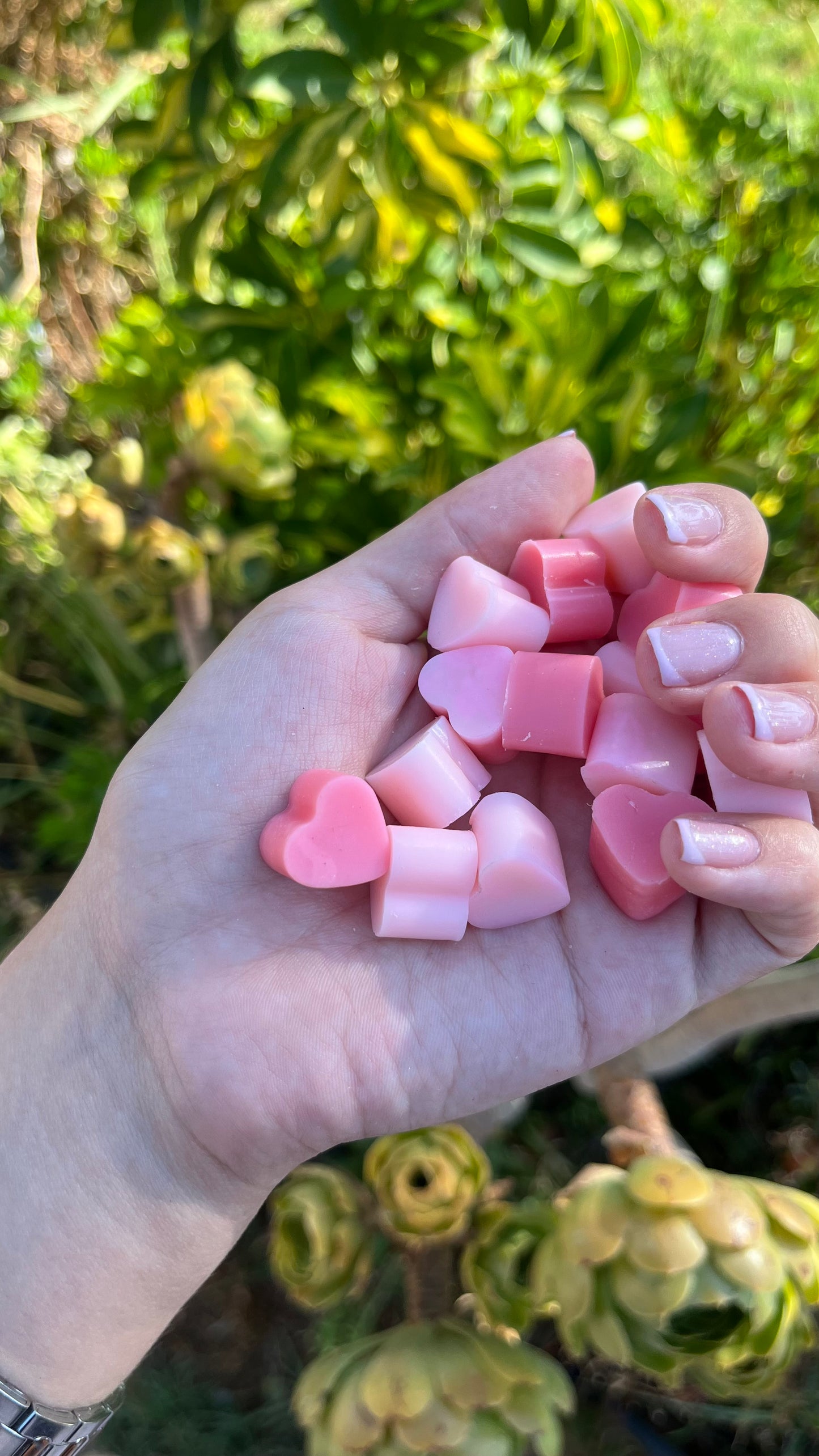 Wax Melts Love 🩷
