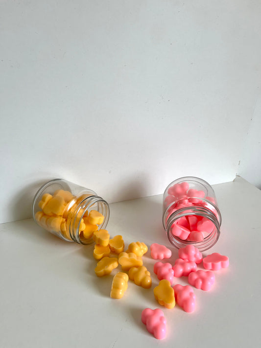 Wax melts 100 grs